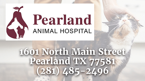 Pearland Animal Hospital